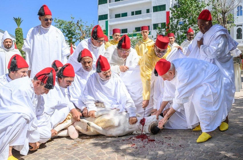 أمير المؤمنين يؤدي صلاة عيد الأضحى المبارك بمسجد الحسن الثاني بتطوان ويتقبل التهاني بهذه المناسبة السعيدة