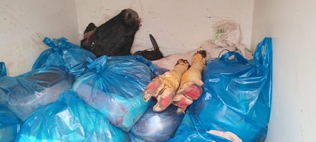 حجز كمية مهمة من احشاء الأبقار والاغنام بالسوق الأسبوعي تيط مليل إقليم مديونة…….