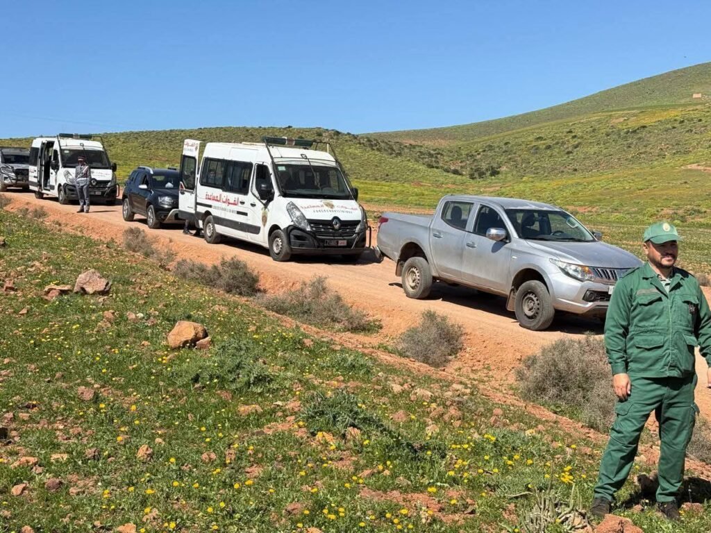 سيدي إفني : السلطة المحلية بقيادة تيوغزة تتصدى بحزم لظاهرة الرعي الجائر وتحجز البهائم والمعدات