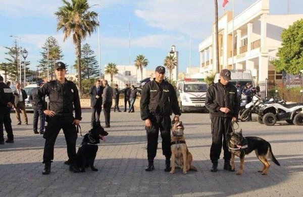 الأمن الوطني يكوّن عناصر أمنية من مالي في تقنيات الكلاب البوليسية لتعزيز التعاون الأمني جنوب-جنوب