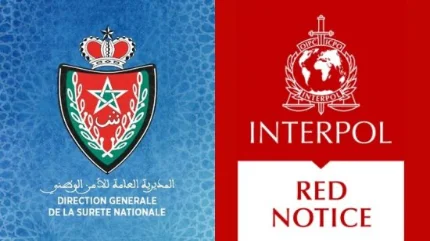 بتنسيق مع “الديستي”.. توقيف مبحوث عنه دولياً بتهمة القتل العمد في فرنسا